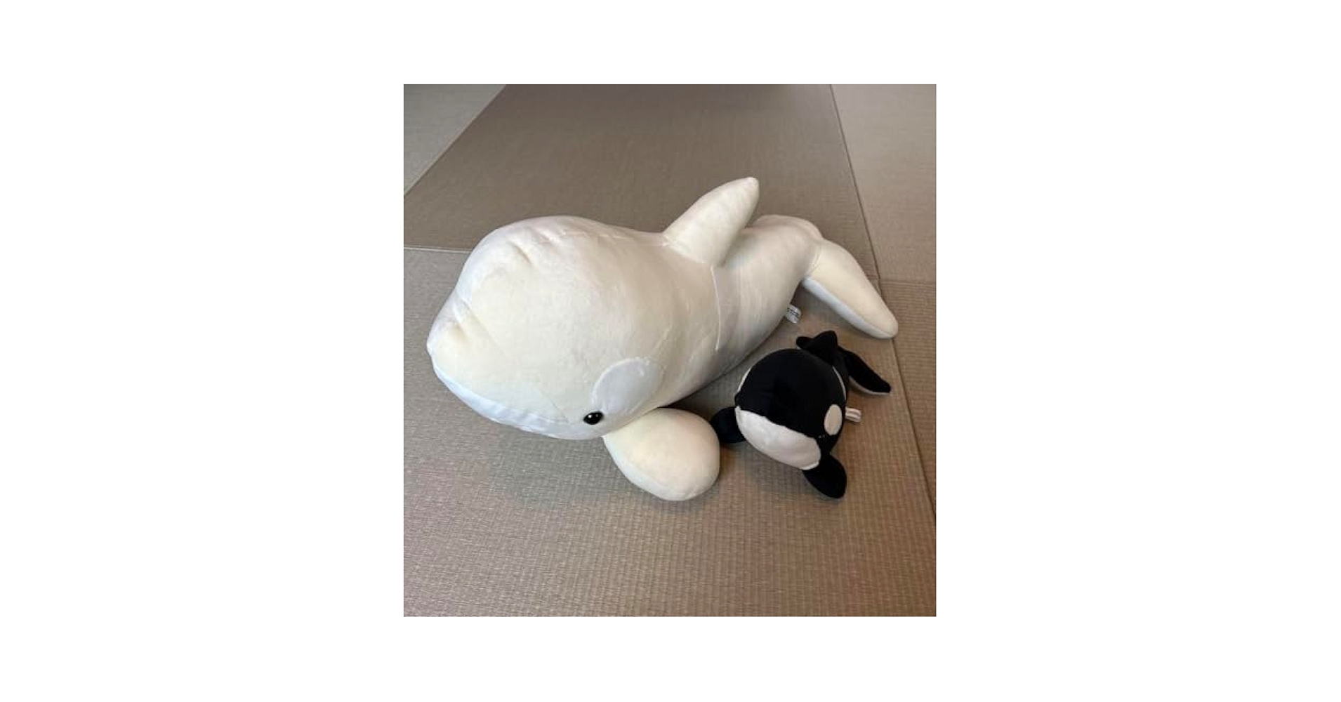 名古屋港水族館　シャチ　白　ぬいぐるみ　ぬいぐるみくじ　特等　アルビノ Amazon.co.jp: 名古屋港水族館 限定 オリジナル ぬいぐるみ くじ